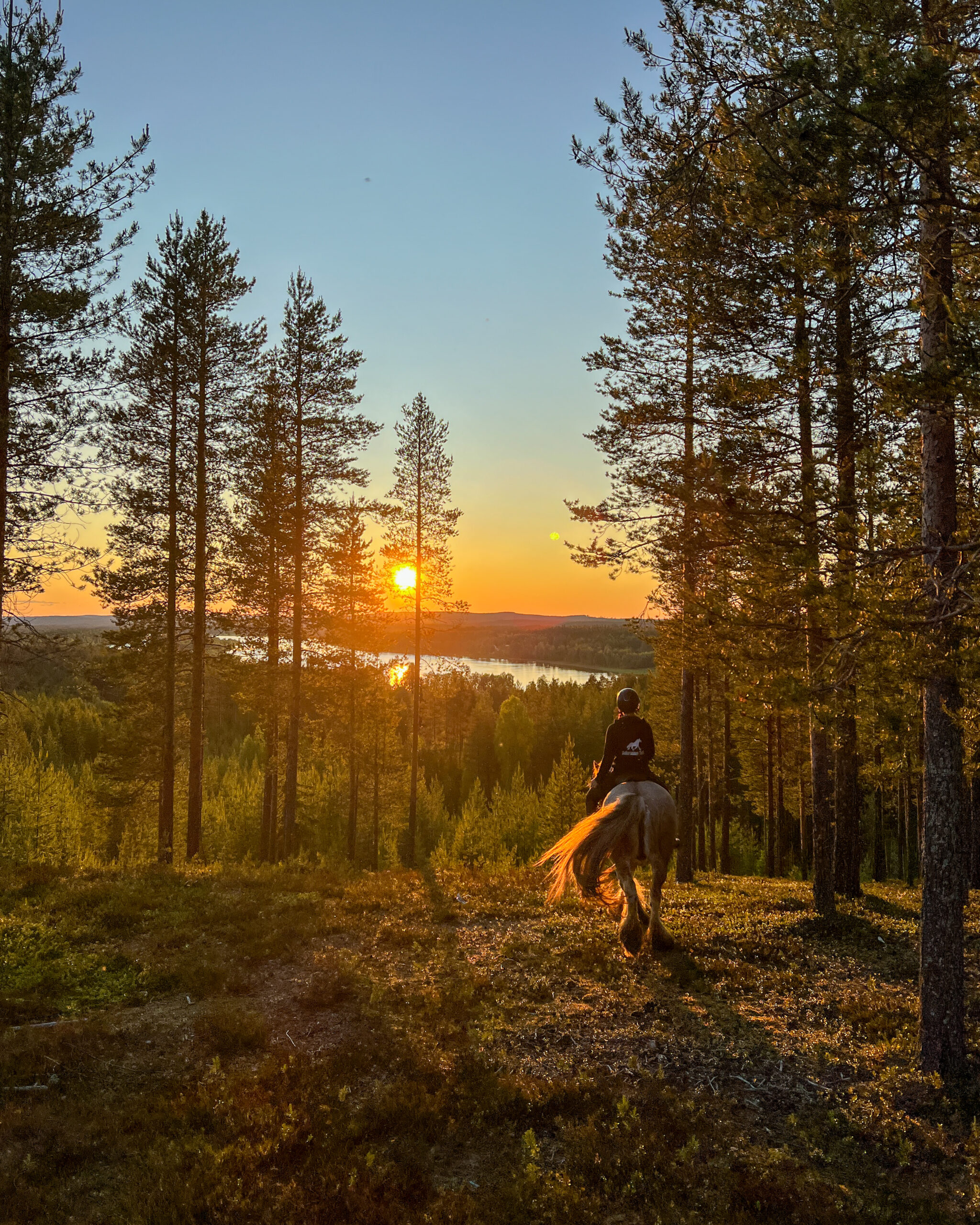 3 Horseback Archery Midnight sun trail ride