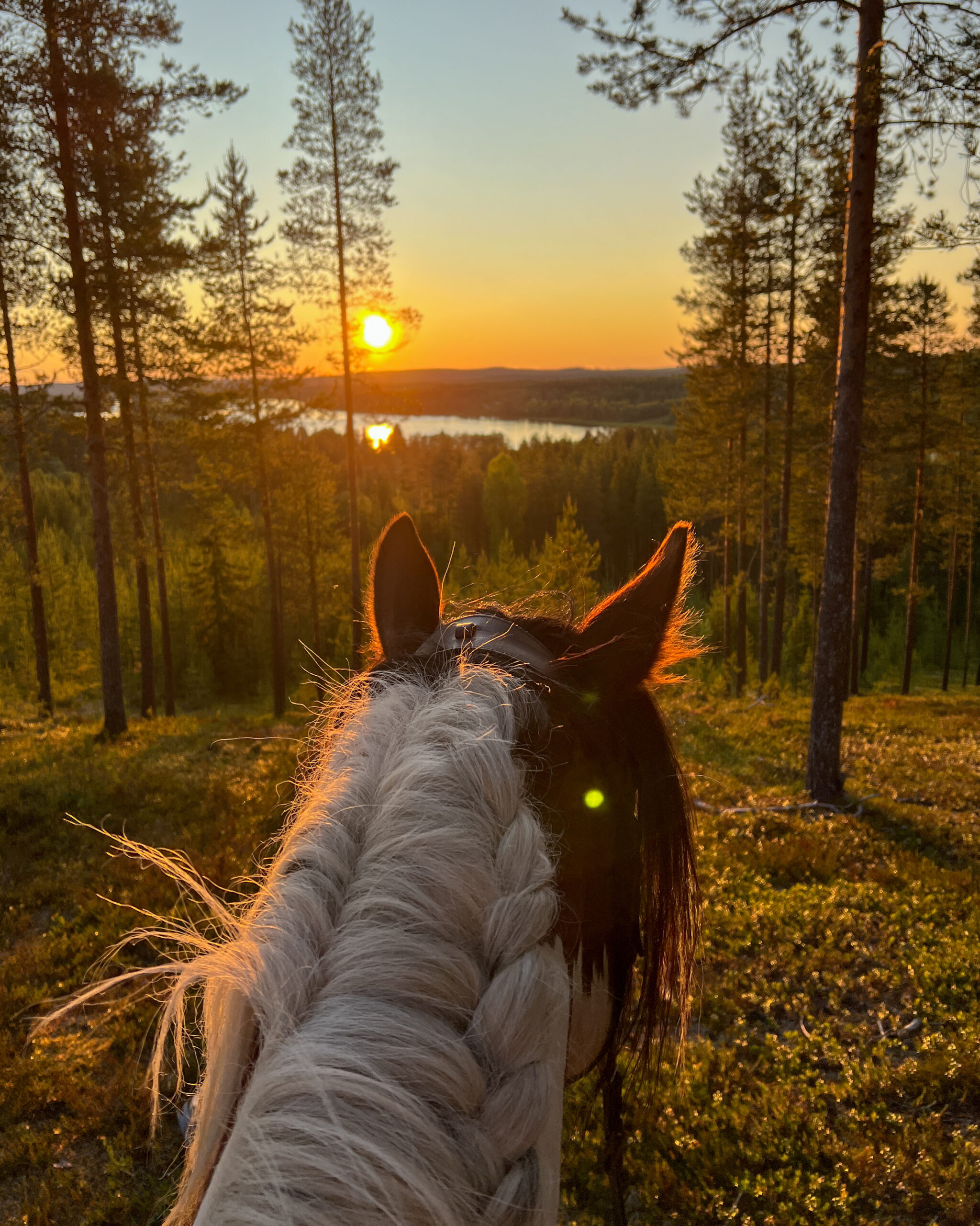 4 Horseback Archery Midnight sun trail ride