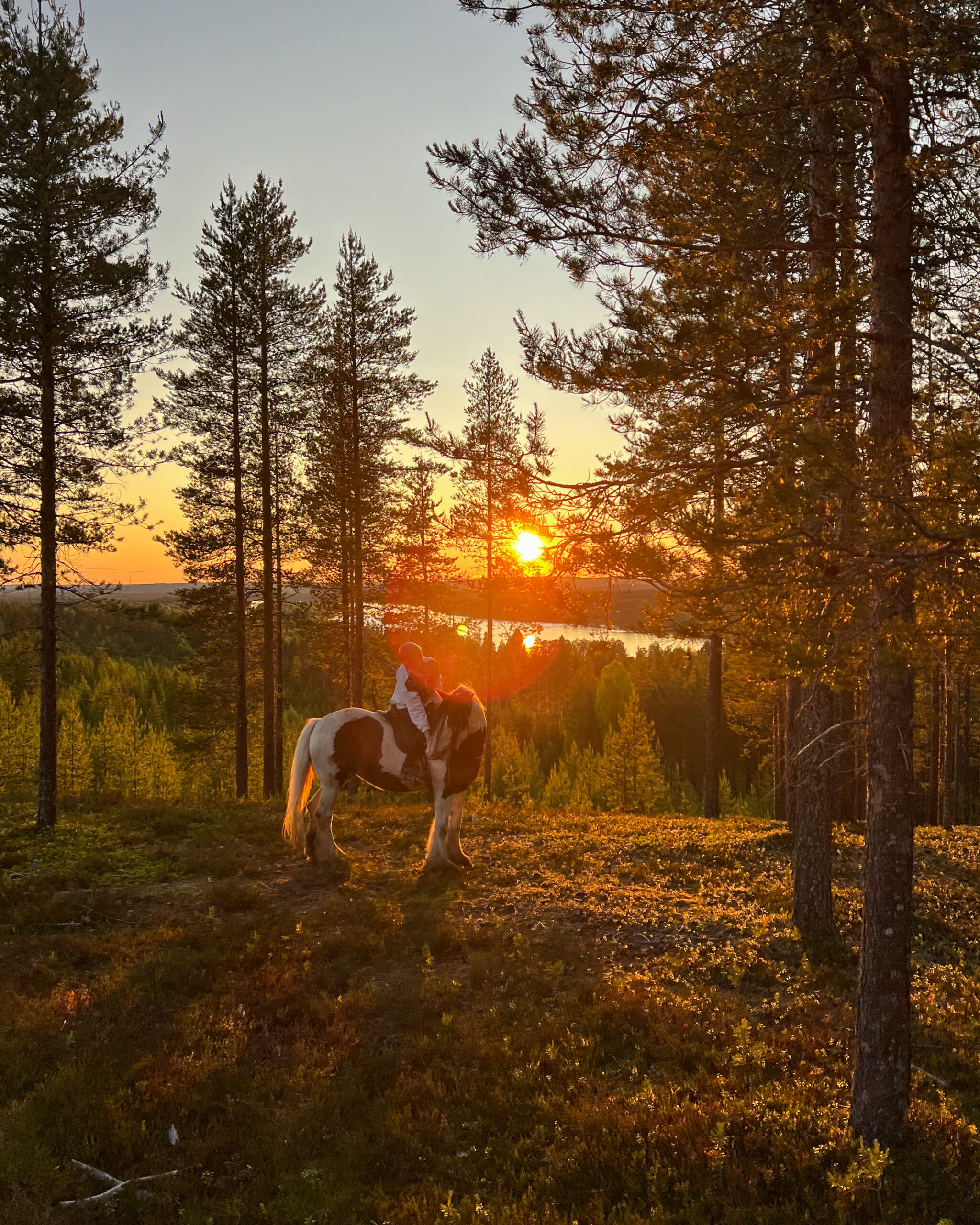 5 Horseback Archery Midnight sun trail ride